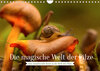 Buchcover Die magische Welt der Pilze (Wandkalender 2023 DIN A4 quer)
