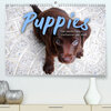 Buchcover Puppies - Die niedlichsten Vierbeiner der Welt. (Premium, hochwertiger DIN A2 Wandkalender 2023, Kunstdruck in Hochglanz