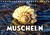 Buchcover Muscheln - Wahre Schätze (Tischkalender 2023 DIN A5 quer)
