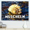 Buchcover Muscheln - Wahre Schätze (Premium, hochwertiger DIN A2 Wandkalender 2023, Kunstdruck in Hochglanz)