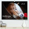 Haflinger-Pferde in Reinzucht (hochwertiger Premium Wandkalender 2024 DIN A2 quer), Kunstdruck in Hochglanz width=