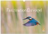 Buchcover Faszination Eisvogel (Wandkalender 2024 DIN A3 quer), CALVENDO Monatskalender