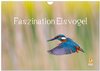 Buchcover Faszination Eisvogel (Wandkalender 2024 DIN A4 quer), CALVENDO Monatskalender