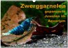 Buchcover Zwerggarnelen - gepanzerte Juwelen im Aquarium (Wandkalender 2024 DIN A3 quer), CALVENDO Monatskalender