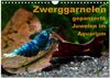Buchcover Zwerggarnelen - gepanzerte Juwelen im Aquarium (Wandkalender 2024 DIN A4 quer), CALVENDO Monatskalender