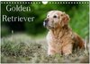 Buchcover Golden Retriever (Wandkalender 2024 DIN A4 quer), CALVENDO Monatskalender