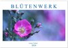 Buchcover Blütenwerk (Wandkalender 2024 DIN A2 quer), CALVENDO Monatskalender
