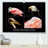 Buchcover Vögel im Fokus 2024 (hochwertiger Premium Wandkalender 2024 DIN A2 quer), Kunstdruck in Hochglanz