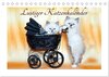 Lustiger Katzenkalender (Tischkalender 2024 DIN A5 quer), CALVENDO Monatskalender width=