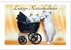 Buchcover Lustiger Katzenkalender (Wandkalender 2024 DIN A4 quer), CALVENDO Monatskalender