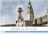 Buchcover Hunde in der City - Unterwegs in Hamburg (Tischkalender 2024 DIN A5 quer), CALVENDO Monatskalender