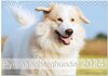 Buchcover Pyrenäenberghunde (Tischkalender 2024 DIN A5 quer), CALVENDO Monatskalender
