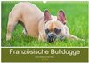 Buchcover Französische Bulldogge - Kleine Helden auf vier Pfoten (Wandkalender 2024 DIN A3 quer), CALVENDO Monatskalender