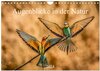 Buchcover Augenblicke in der Natur (Wandkalender 2024 DIN A4 quer), CALVENDO Monatskalender