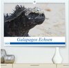 Buchcover Galapagos Echsen (hochwertiger Premium Wandkalender 2024 DIN A2 quer), Kunstdruck in Hochglanz
