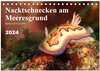 Buchcover Nacktschnecken am Meeresgrund (Tischkalender 2024 DIN A5 quer), CALVENDO Monatskalender