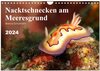 Buchcover Nacktschnecken am Meeresgrund (Wandkalender 2024 DIN A4 quer), CALVENDO Monatskalender