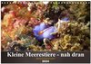 Buchcover Kleine Meerestiere - nah dran (Wandkalender 2024 DIN A4 quer), CALVENDO Monatskalender