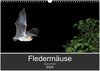 Buchcover Fledermäuse - Jäger der Nacht (Wandkalender 2024 DIN A3 quer), CALVENDO Monatskalender