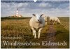 Buchcover Wunderschönes Eiderstedt (Wandkalender 2024 DIN A3 quer), CALVENDO Monatskalender