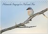 Buchcover Heimische Singvögel in Feld und Flur (Tischkalender 2024 DIN A5 quer), CALVENDO Monatskalender