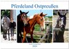 Buchcover Pferdeland Ostpreußen - Gestüt Georgenburg (Wandkalender 2024 DIN A3 quer), CALVENDO Monatskalender