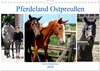 Buchcover Pferdeland Ostpreußen - Gestüt Georgenburg (Wandkalender 2024 DIN A4 quer), CALVENDO Monatskalender