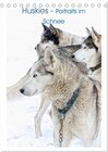 Buchcover Huskies - Portraits im Schnee (Tischkalender 2024 DIN A5 hoch), CALVENDO Monatskalender