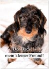 Buchcover Der Dackel - mein kleiner Freund (Wandkalender 2024 DIN A2 hoch), CALVENDO Monatskalender