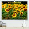 Buchcover Sonnenblumen (hochwertiger Premium Wandkalender 2024 DIN A2 quer), Kunstdruck in Hochglanz