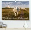 Buchcover Wunderschönes Eiderstedt (hochwertiger Premium Wandkalender 2024 DIN A2 quer), Kunstdruck in Hochglanz