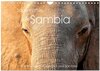 Buchcover Sagenhaftes Sambia - Unterwegs an Luangwa und Sambesi (Wandkalender 2024 DIN A4 quer), CALVENDO Monatskalender