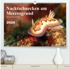 Buchcover Nacktschnecken am Meeresgrund (hochwertiger Premium Wandkalender 2024 DIN A2 quer), Kunstdruck in Hochglanz
