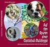 Buchcover Auf den Spuren einer Castlebull-Bulldogge