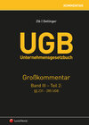 Buchcover UGB Großkommentar / UGB Unternehmensgesetzbuch Kommentar - Band III/Teil 2