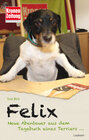 Buchcover Felix