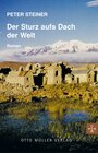 Buchcover Der Sturz aufs Dach der Welt