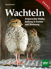 Buchcover Wachteln