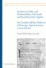 Buchcover Innichen im Früh- und Hochmittelalter. Historische und kunsthistorische Aspekte / San Candido dall’alto Medioevo al Duec