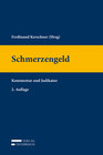 Buchcover Schmerzengeld