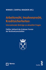 Buchcover Arbeitsrecht, Insolvenzrecht, Kreditsicherheiten