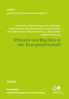 Buchcover Effizienz und Big Data in der Energiewirtschaft