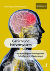 Buchcover Gehirn und Nervensystem