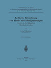 Buchcover Kritische Betrachtung von Flach- und Pfahlgründungen besonders in den Hafenplätzen Niederländisch-Indiens