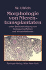 Buchcover Morphologie von Nierentransplantaten