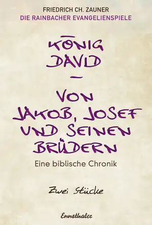 Buchcover ISBN 9783709500156