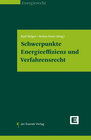 Buchcover Schwerpunkte Energieeffizienz und Verfahrensrecht