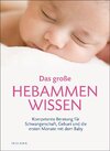 Buchcover Das große Hebammen-Wissen