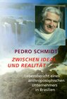 Buchcover Zwischen Ideal und Realität