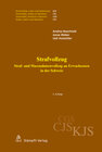 Buchcover Strafvollzug